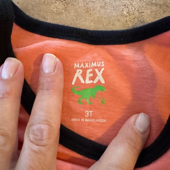 2 PACK! 3T Dinosaur Graphic Kids Tank Tops - Picture 6 of 7